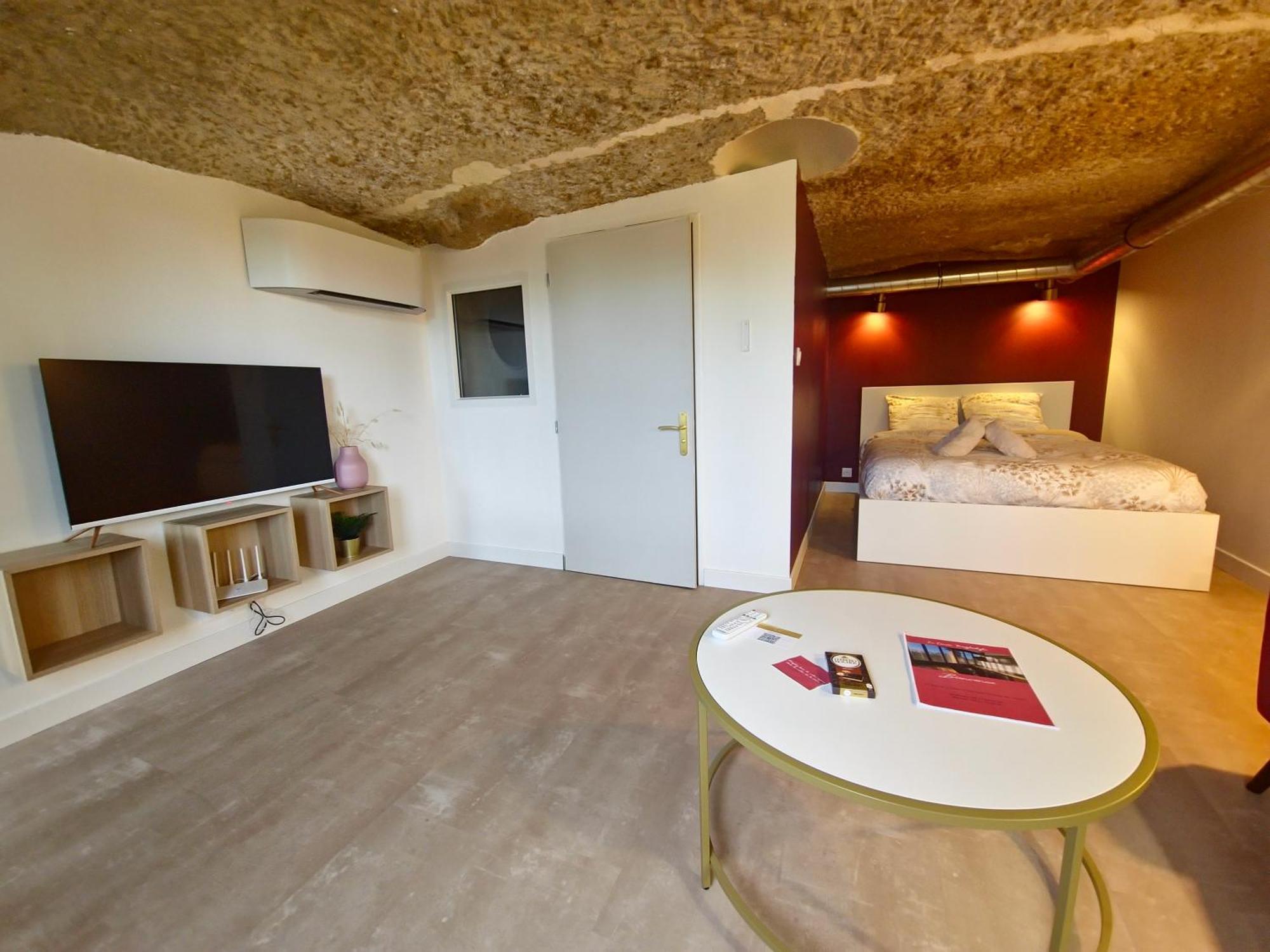 Le Cocon Troglodyte Apartment Saint-Etienne-de-Chigny Exterior photo