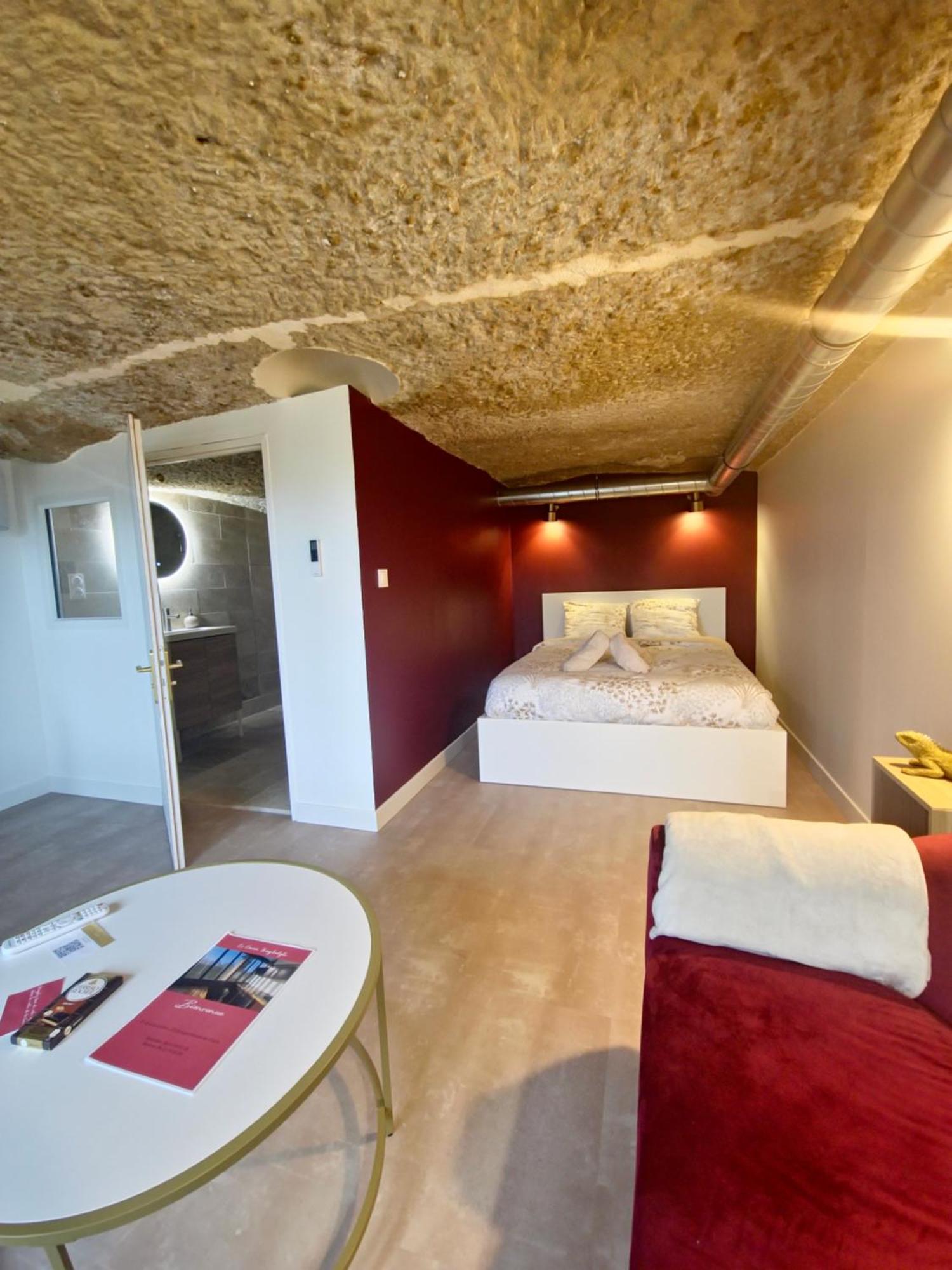 Le Cocon Troglodyte Apartment Saint-Etienne-de-Chigny Exterior photo